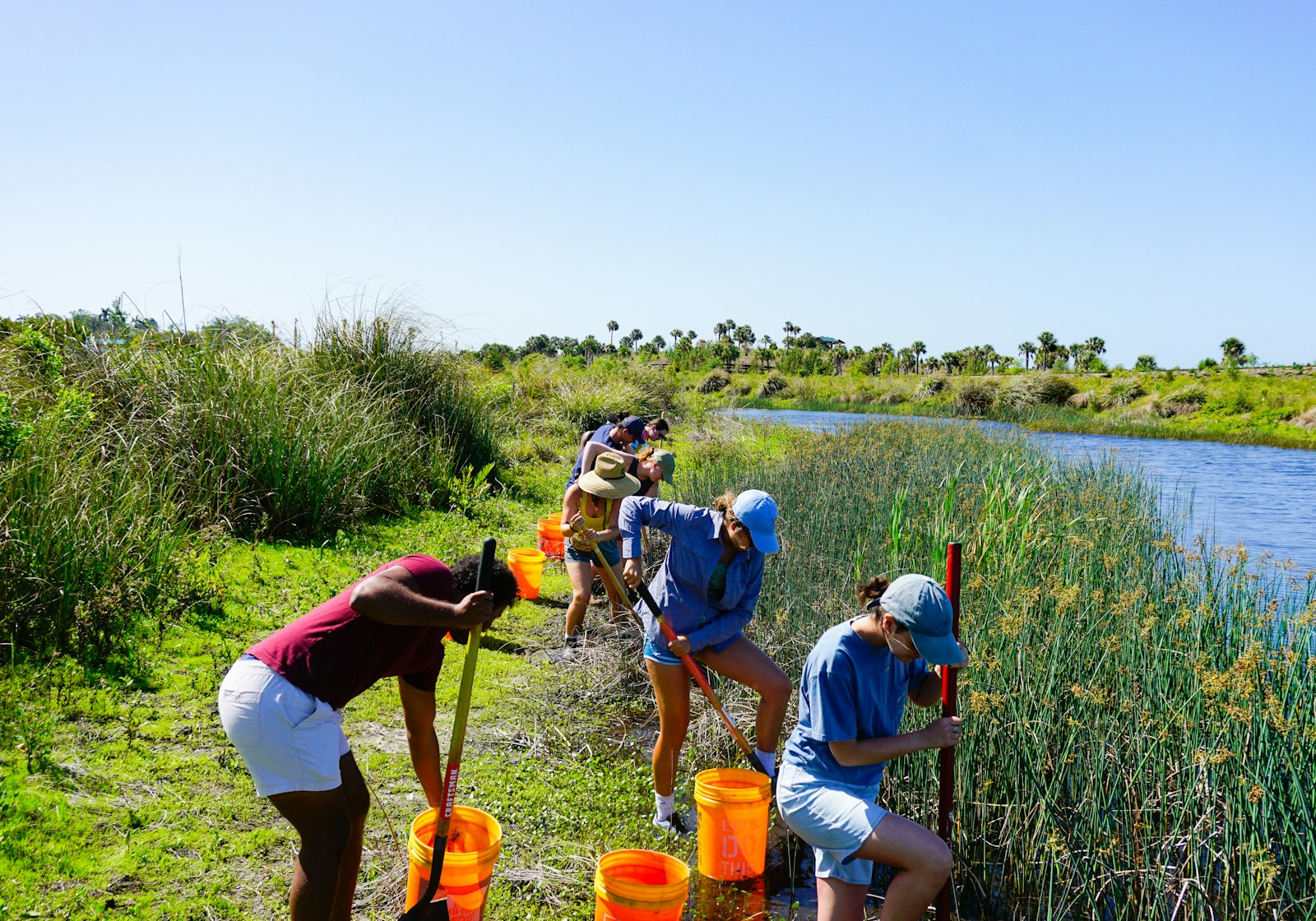 Young people collecting water samples at the edge of a wetland