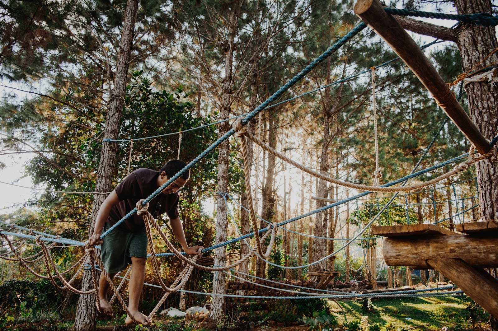 Rope bridges on a treetop adventure course in a pine forest