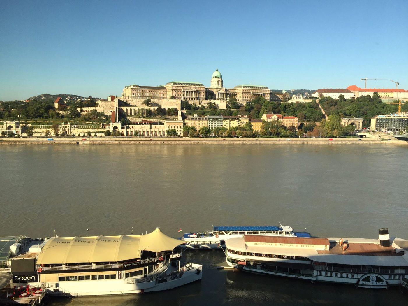 Buda Castle above the Danube, Budapest