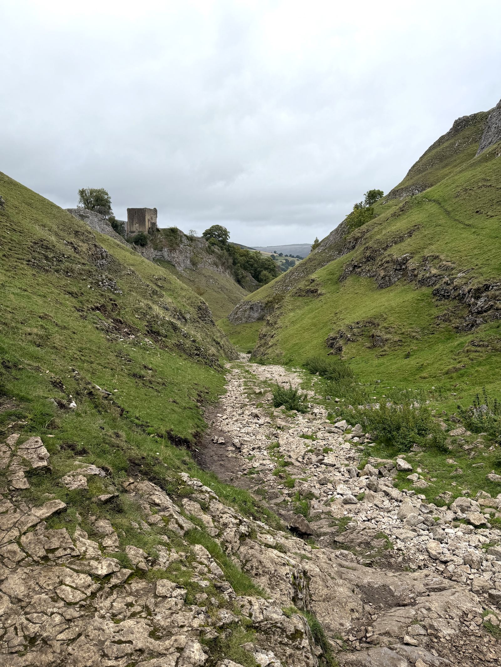 A limestone dale winding between green slopes in the Peak District
